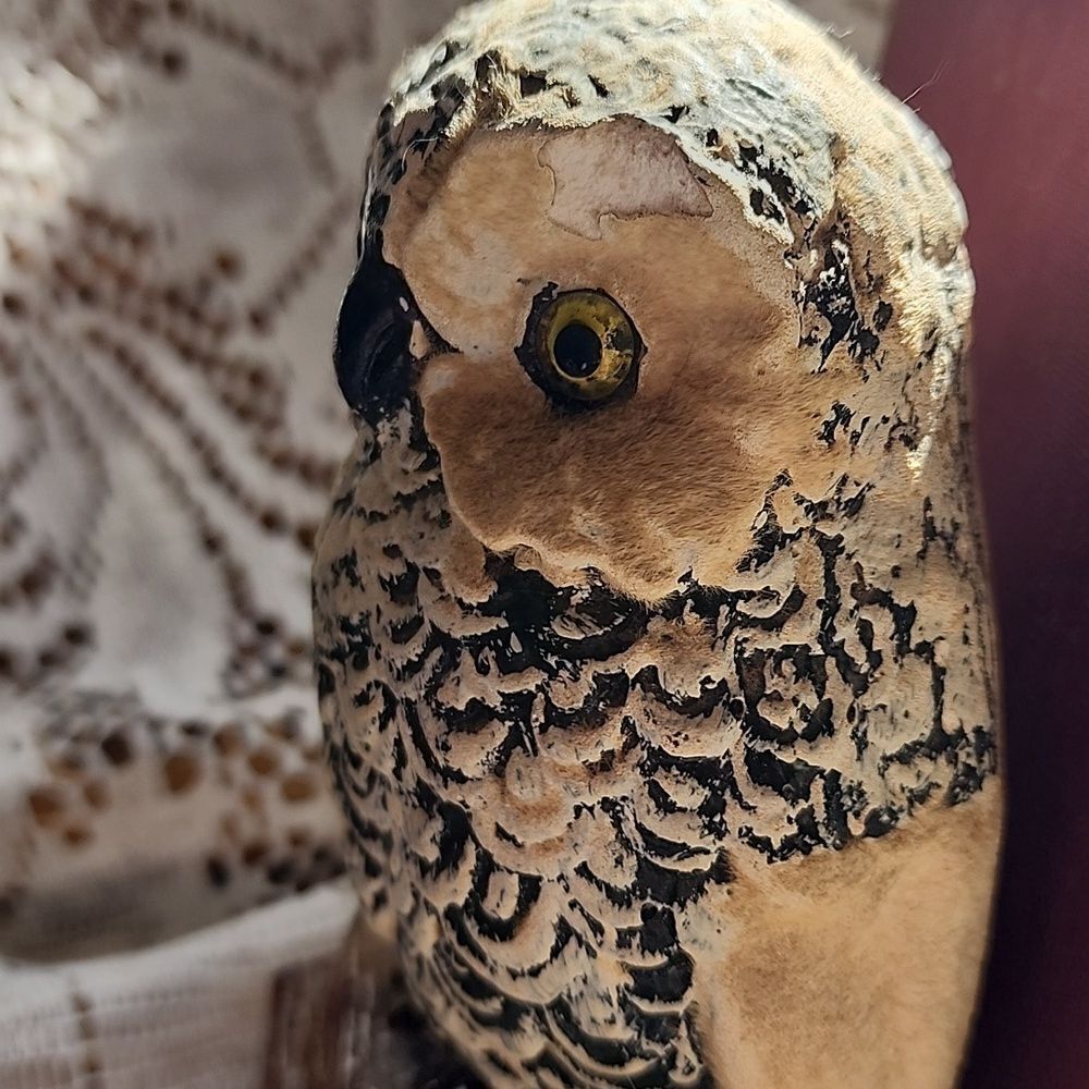 Chippy Chalkware Knowledge Owl Bookends - Picture 4 of 13